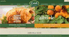 Desktop Screenshot of agricolaguidi.com